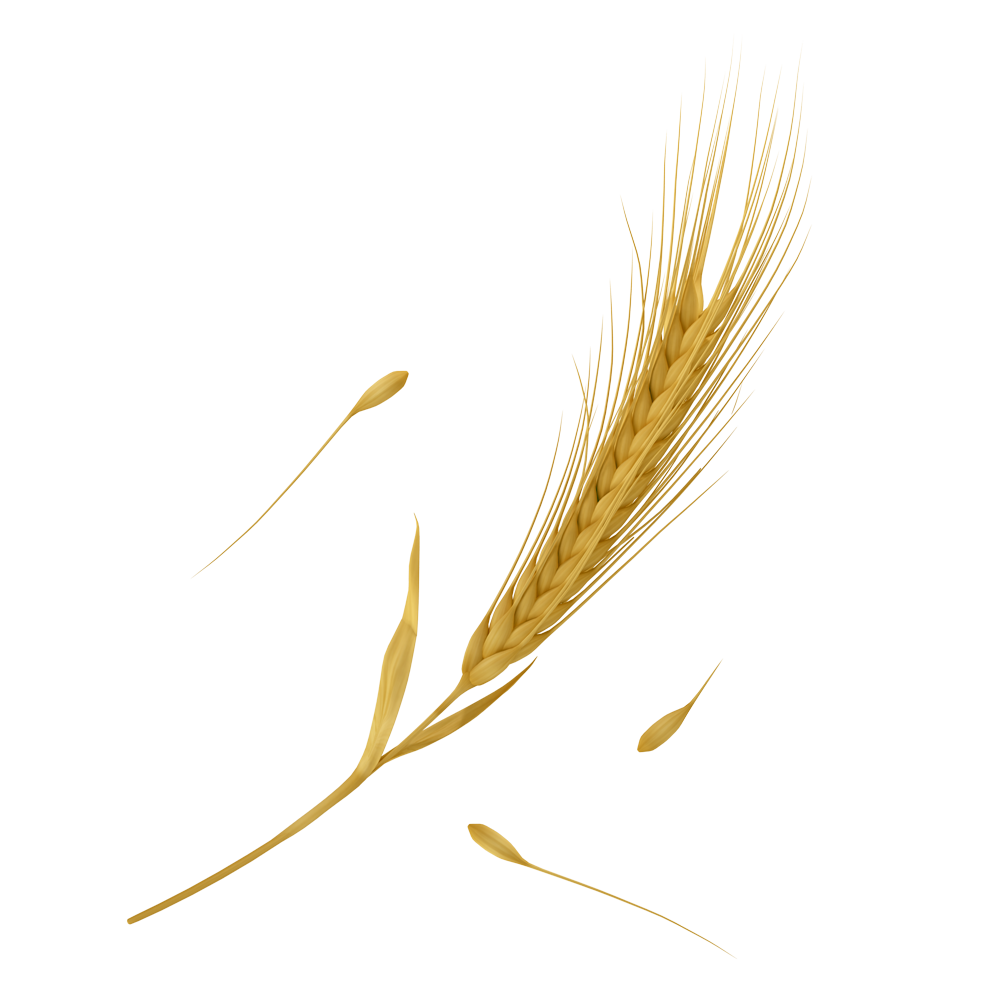Ozberk Agrotech