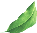 Ozberk Agrotech